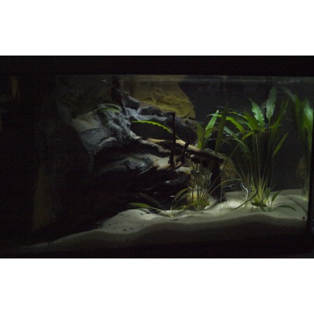 Réalisation de décor à partir de votre cuve nue