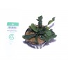 Bucephalandra "green wavy"