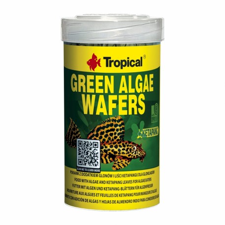 Tropical Green algae wafers