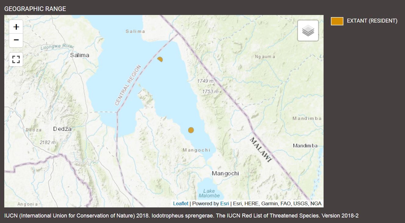 Zones de distribution de Iodotropheus sprengerae