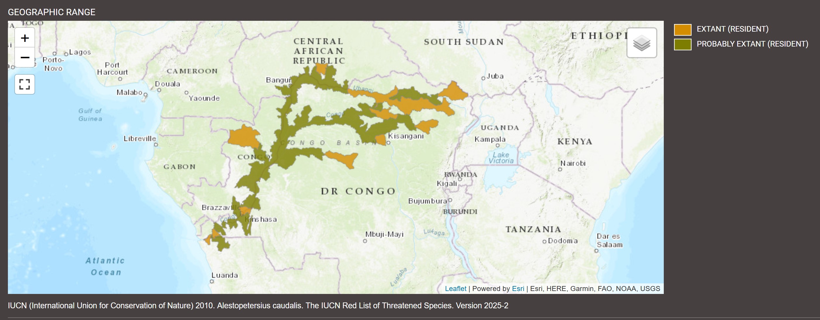 Distribution de Alestopetersius caudalis