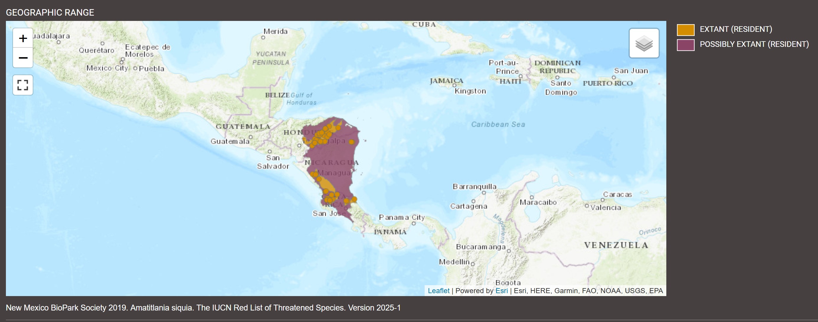 Distribution de Amatitlania siquia