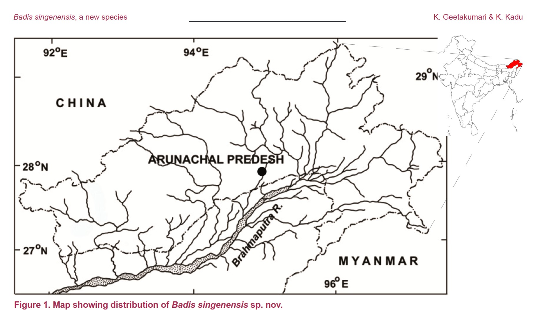 Aire de répartition de Badis singenensis