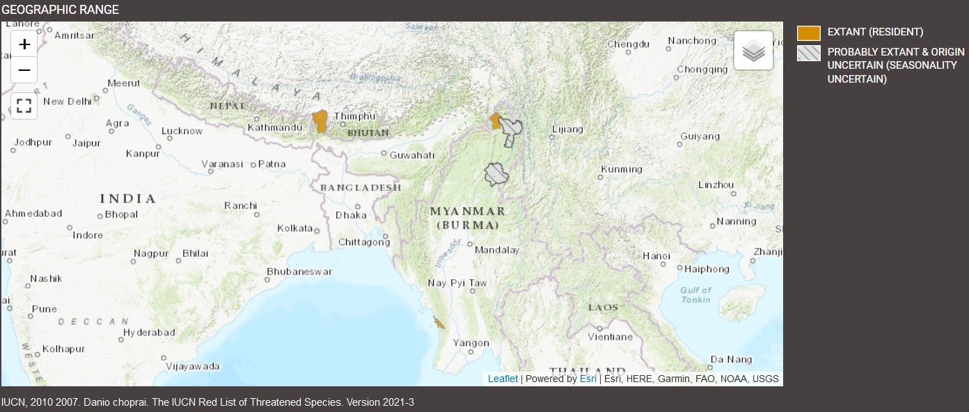 Distributions de Danio choprae