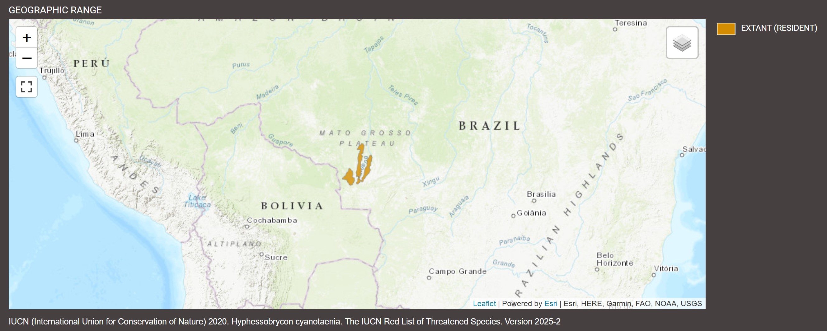 Distribution d'Hyphessobrycon cyanotaenia