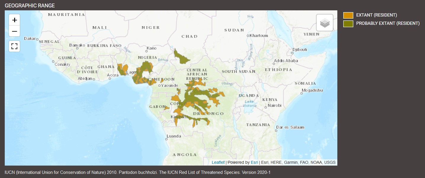 Distribution de Pantodon buchholzi