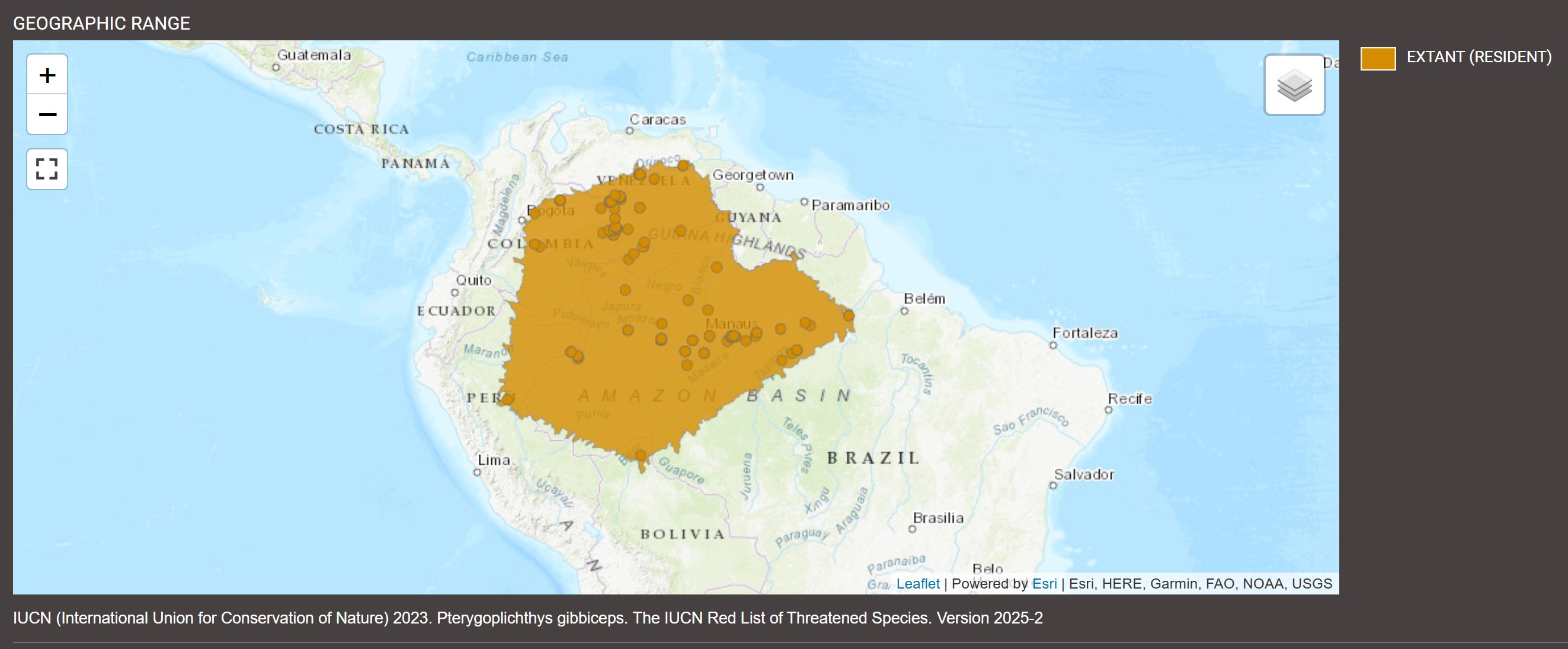Distribution de Pterygoplichthys gibbiceps