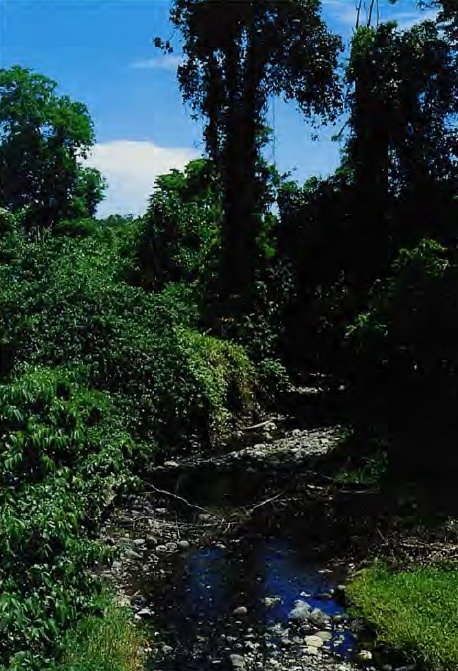 Ville de Lae, Province Morobe, Papouasie Nouvelle Guinée