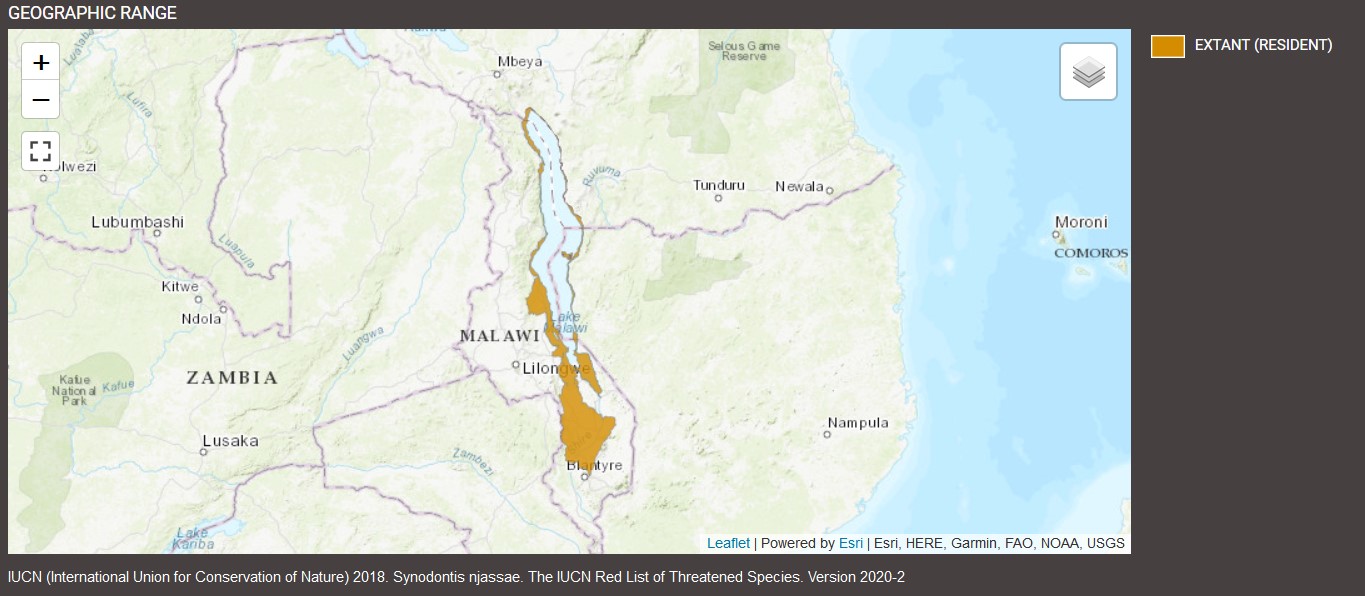 Aire de distribution de Synodontis njassae