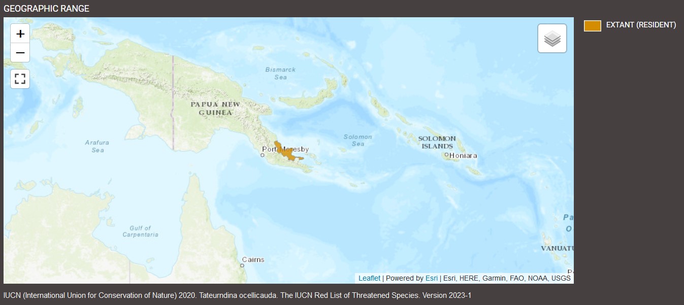 Aire de répartition de Tateurndina ocellicauda