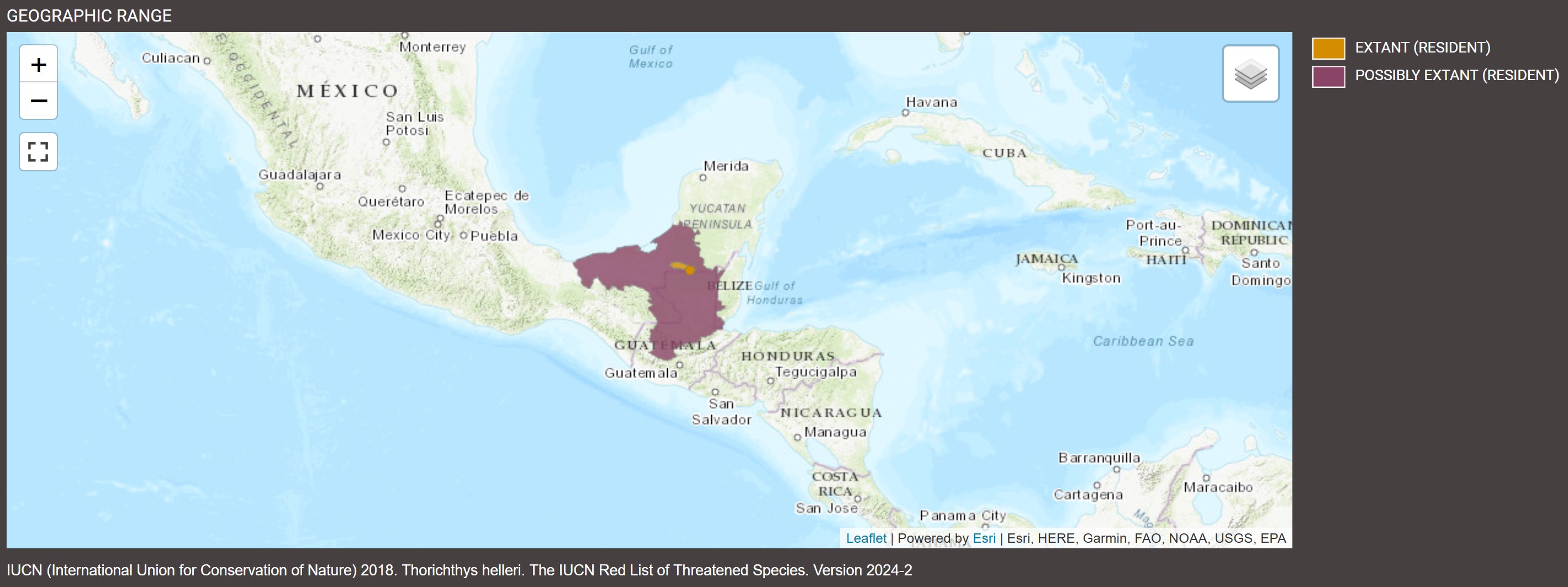 Distribution de Thorichthys helleri