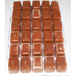 Rotifères rouges blister 100 g