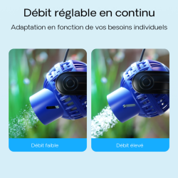 Oscar le poisson animalerie près de Poitiers