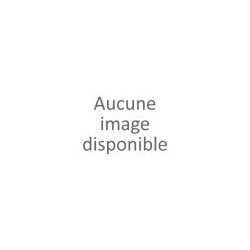 Gourami nain - Trichogaster lalius