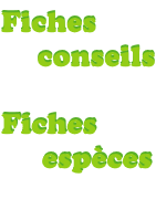 Fiches techniques