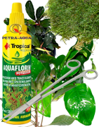 La culture des plantes