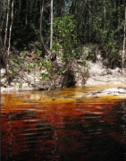 Préparation de l'eau