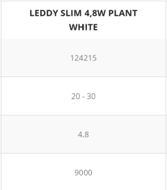 4,8 W