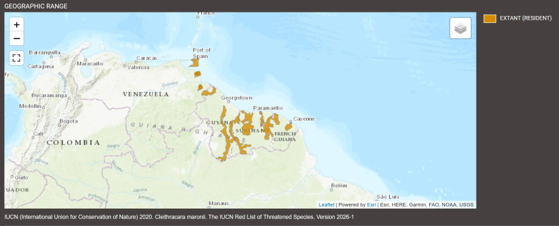 Distribution de Cleithracara maronii