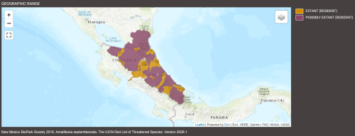 Distributiond'Amatitlania septemfasciata