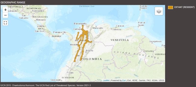 Distribution de Chaetostoma thomsoni