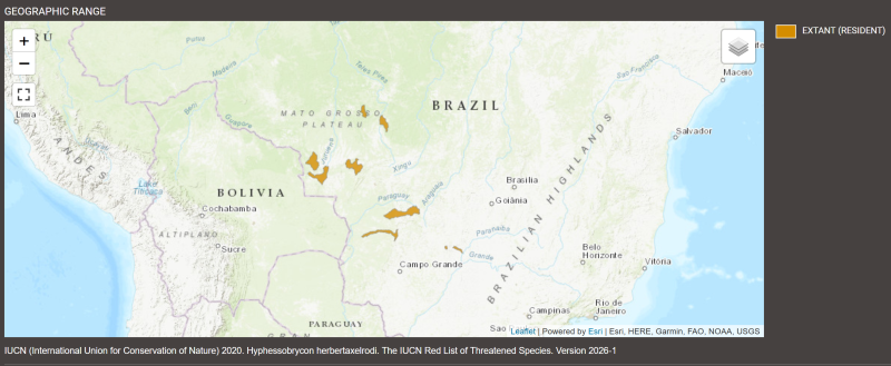 Distribution d'Hyphessobrycon herbertaxelrodi