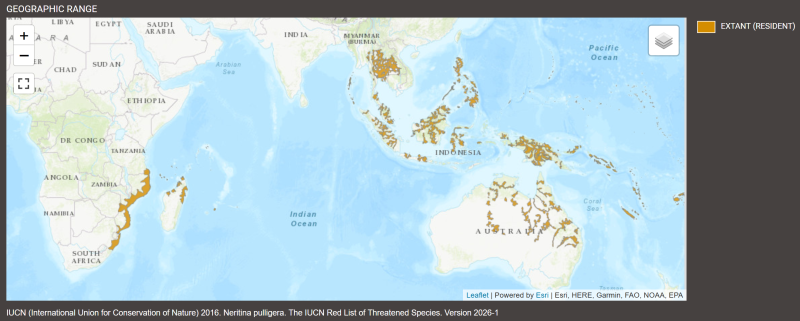 Distribution de Neritina pulligera