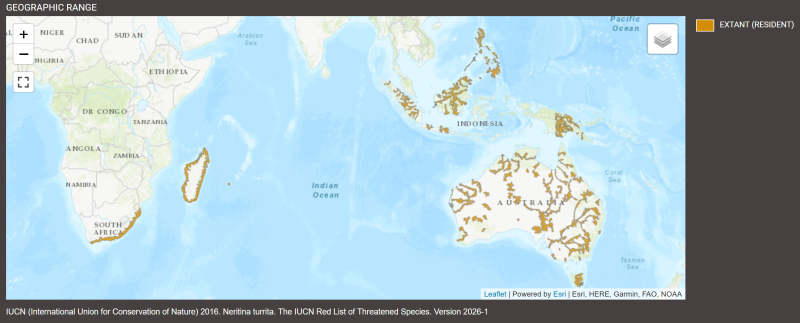 Distribution de Neritina turrita