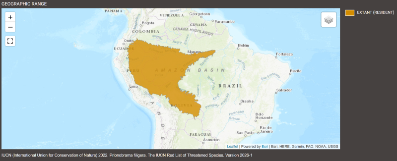Distribution de Prionobrama filigera