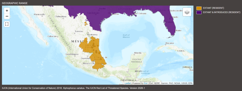 Distribution de Xiphophorus variatus