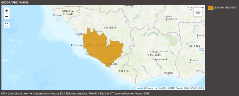 Distributiond'Epiplatys annulatus