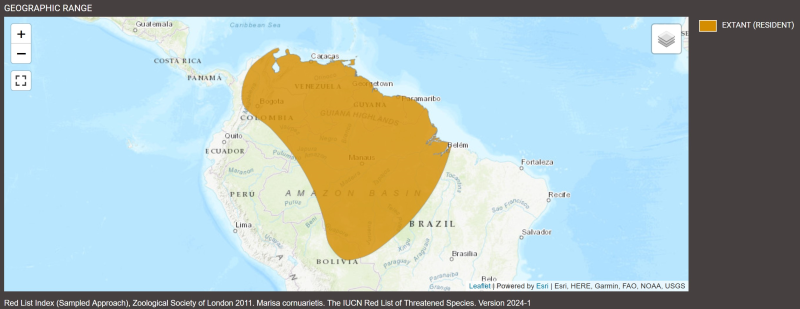 Distribution de Marisa cornuarietis