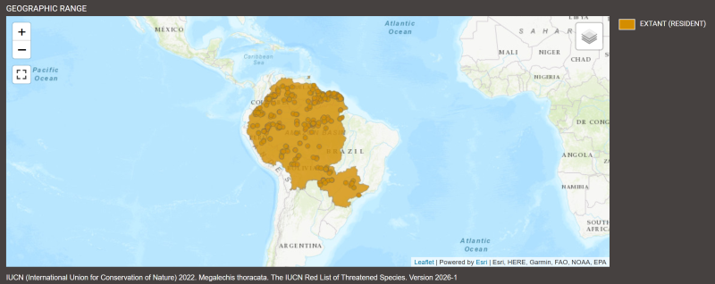 Distribution de Megalechis thoracata