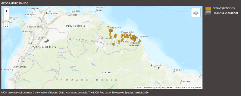 Distribution de Nannacara anomala