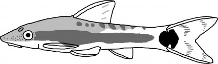 Otocinclus macrospilus