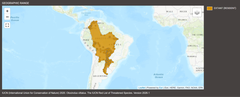 Distribution d'Otocinclus vittatus