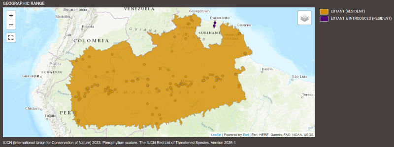 Distribution de Pterophyllum scalare