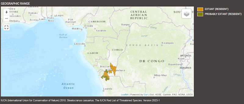 Distribution de Steatocranus casuarius