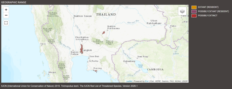 Distribution de Trichopodus leerii