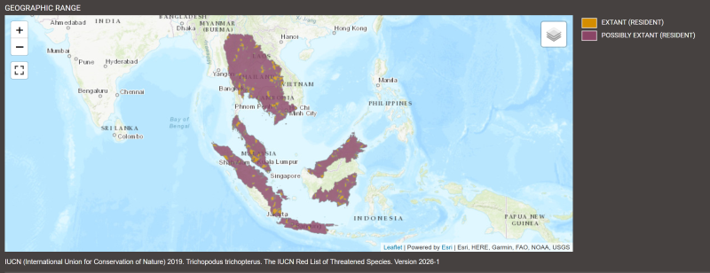 Distribution de Trichopodus trichopterus
