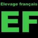 Élevage français